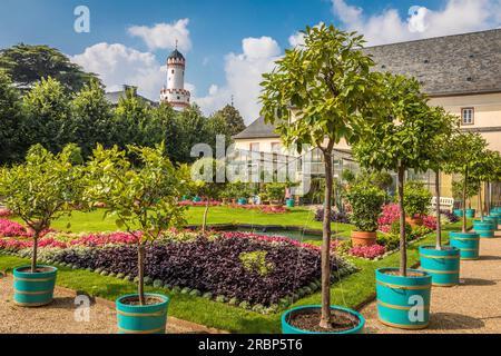 Giardino dell'Orangerie, sullo sfondo il Castello del Langravio con la torre bianca a Bad Homburg, Taunus, Assia, Germania Foto Stock
