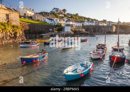 Il piccolo porto di Coverack, la penisola di Lizard, Cornovaglia, Inghilterra Foto Stock