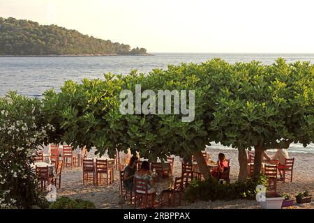 Ristorante Yiannis sulla spiaggia di Panormos Bay sulla costa meridionale dell'isola di Skopelos, Sporadi settentrionali, Grecia Foto Stock