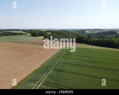 Vista aerea di un paesaggio con campi agricoli marroni arati, campi coltivati verdi, alberi e un cielo blu soleggiato in estate Foto Stock