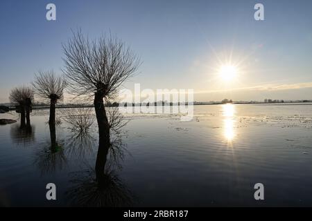 Godney vicino a Glastonbury Somerset, Inghilterra. Campi allagati gennaio 2023 Foto Stock