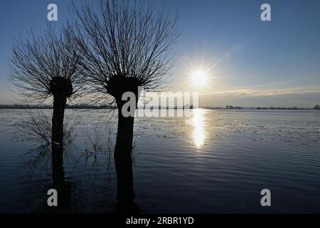 Godney vicino a Glastonbury Somerset, Inghilterra. Campi allagati gennaio 2023 Foto Stock