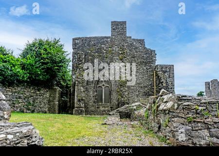 Le rovine della vecchia Abbazia cistercense di Mallifont Tullyallen Village, contea di Louth, Drogheda, Irlanda. Foto Stock
