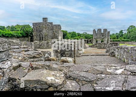 Le rovine della vecchia Abbazia cistercense di Mallifont Tullyallen Village, contea di Louth, Drogheda, Irlanda. Foto Stock