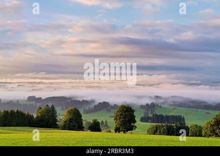 Guardando a sud dal Auerberg in un nebbia mattina presto autunno, Baviera, Germania, Europa Foto Stock