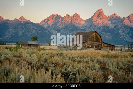 Alba a Mormon Row con montagne illuminate dal sole | Grand Teton National Park, Wyoming, USA Foto Stock
