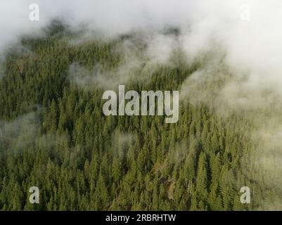 Le nuvole attraversano l'aspro paesaggio boschivo del North Cascades National Park. Questa regione montuosa di Washington è pesantemente boschiva. Foto Stock