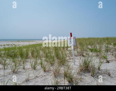 BARNEGAT LIGHT, N.J. – 6 maggio 2023: Un terreno di nidificazione per gli uccelli in via di estinzione è visto a Barnegat Light sull'isola di Long Beach. Foto Stock