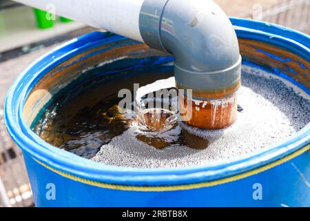 uso di un sistema di filtraggio dell'acqua per filtrare lo sporco e le malattie prima di entrare nell'acqua nei bacini di coltivazione dei pesci e dei gamberi vanamei Foto Stock