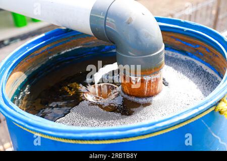 uso di un sistema di filtraggio dell'acqua per filtrare lo sporco e le malattie prima di entrare nell'acqua nei bacini di coltivazione dei pesci e dei gamberi vanamei Foto Stock