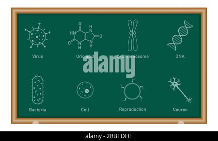 Icona della biologia. Acido urico, batteri, cellule, neuroni, virus, DNA, riproduzione e simbolo zigote. Risorse biologiche per insegnanti e studenti. Illustrazione Vettoriale