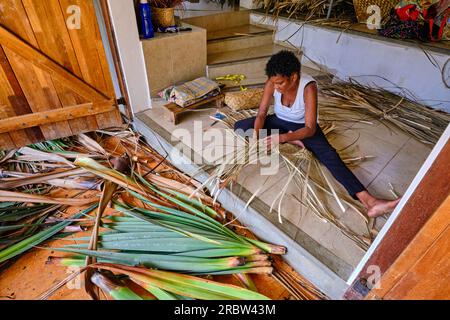 Mauritius, Grand Port District, Old Grand Port, vacoas Weaving Center, Movement for Food Self-sufficiency (MAA) Foto Stock