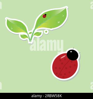 una foglia verde con gocce di rugiada e un piccolo insetto rosso Illustrazione Vettoriale