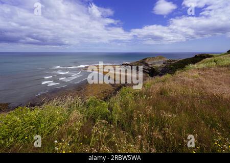 Vista di Kettleness dal sentiero Cleveland Way. Kettleness sulla costa del North Yorkshire tra Runswick Bay e Whitby. Questa foto era sho Foto Stock