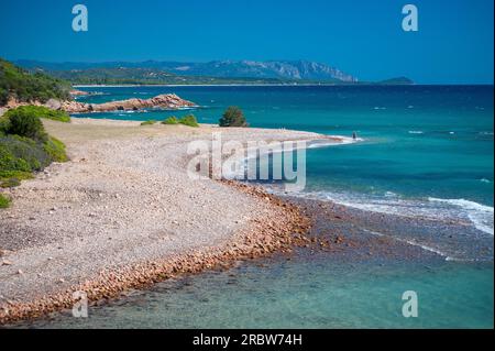 Lispedda, Cardedu, Gairo, Ogliastra, Sardegna, Italia, Europa Foto Stock