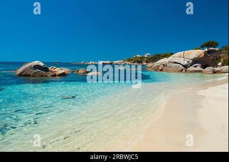 Cala Caterina, Parco naturale, Villasimius, Sardegna, Italia, Europa Foto Stock