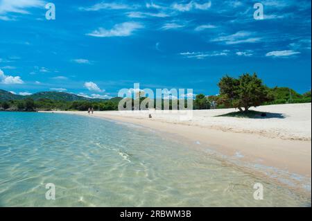 Porto Mannu, Capo d’Orso, Palau, Sardegna, Italia, Europa Foto Stock