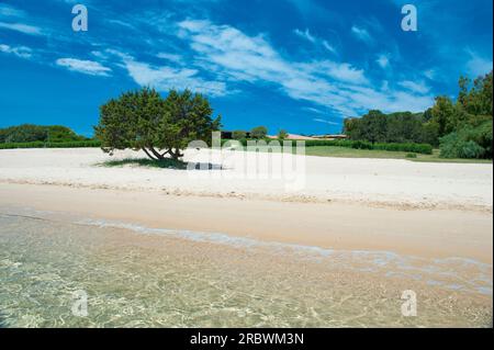 Porto Mannu, Capo d’Orso, Palau, Sardegna, Italia, Europa Foto Stock