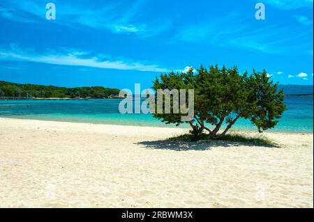 Porto Mannu, Capo d’Orso, Palau, Sardegna, Italia, Europa Foto Stock