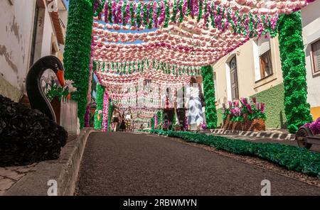 Tomar, Portogallo - 8 luglio 2023: Strada nella città di Tomar, in Portogallo, decorata con fiori di carta durante la Festa dos Tabuleiros. Foto Stock