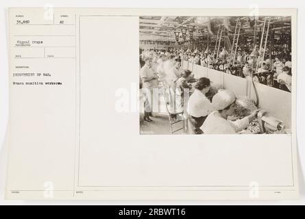 Una fotografia della collezione "Photographs of American Military Activities during World War One" (fotografie delle attività militari americane durante la prima guerra mondiale) che mostra donne operaie di munizioni impegnate in industrie per lo sforzo bellico. L'immagine cattura il loro coinvolgimento nella produzione delle forniture necessarie durante la prima guerra mondiale. Foto Stock