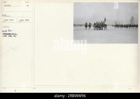 Soldati della 80a Divisione che partecipano a un'esercitazione a Camp Lee, Virginia, nel giugno 1918. Questa fotografia, numerata 12614, è stata scattata da un fotografo militare e fa parte di una più ampia collezione che documenta le attività militari americane durante la prima guerra mondiale Foto Stock