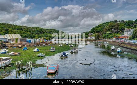 Un ampio paesaggio panoramico preso dal ponte che attraversa l'estuario di Looe, in Cornovaglia, con la marea che si apre verso l'entroterra lungo il fiume verso Duloe. Foto Stock