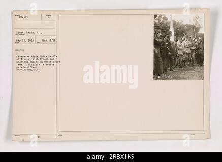 Chasseurs Alpin (Blue Devils of France) con colori francesi e americani sul prato della Casa Bianca. E' presente un tenente Lents, ma l'ufficiale al centro non e' identificato. La foto è stata scattata il 15 maggio 1918 dal fotografo 8.C. Fa parte della collezione 111-SC-10463. Foto Stock