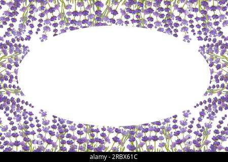 Striscione con cornice ovale e fiori di lavanda. Bouquet floreale aquarelle. Erbe naturali ecologiche. Illustrazione acquerello isolata su sfondo bianco. Per creat Foto Stock