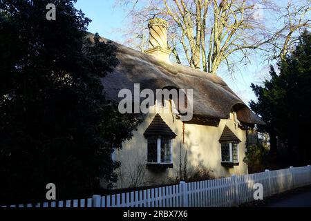 Cottage con tetto in paglia smerigliato all'Old Warden Foto Stock