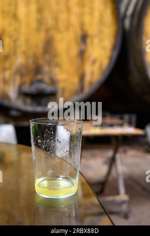 La degustazione del sidro naturale tradizionale asturiano fatto da mele fermentate in botti per diversi mesi va versata da grande altezza, permettendo lo Foto Stock