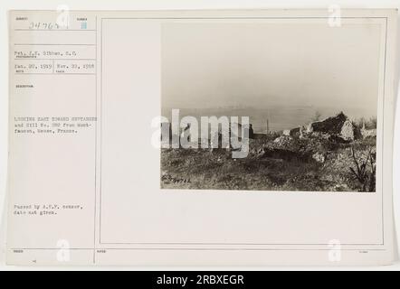 Pvt. J.E. Gibbon della S.C. ha scattato questa foto il 20 gennaio 1919. L'immagine mostra la vista a est da Montfaucon, Mosa, Francia, verso Septargnes e la collina n. 282. Questa foto è stata emessa e approvata dalla A.E.P. Censor. È etichettato come numero 794762 nella raccolta. Foto Stock