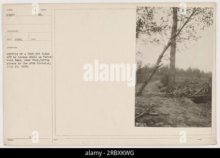 Un ceppo di alberi che è stato tagliato in modo pulito da un guscio tedesco durante un attacco a Vaux, vicino a Paris-Metz Road. Questa fotografia, numerata 27297 e scattata nel 1918 dal fotografo Seco, mostra le conseguenze dell'attacco effettuato dalla 26th Division il 20 luglio 1918. Foto Stock