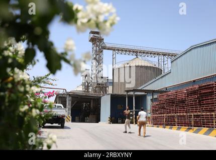 (230711) -- CAIRO, 11 luglio 2023 (Xinhua) -- questa foto scattata il 6 luglio 2023 mostra la società cinese New Hope Egypt Co., Ltd. Nella provincia di Menoufia, Egitto. PER ANDARE CON "caratteristica: Come prospera una società cinese nonostante i venti contrari economici in Egitto?" (Xinhua/Wang Dongzhen) Foto Stock