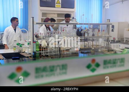 (230711) -- CAIRO, 11 luglio 2023 (Xinhua) -- Chemists Work at the Lab of Chinese Company New Hope Egypt Co., Ltd. Nella provincia di Menoufia, Egitto, 6 luglio 2023. PER ANDARE CON "caratteristica: Come prospera una società cinese nonostante i venti contrari economici in Egitto?" (Xinhua/Wang Dongzhen) Foto Stock