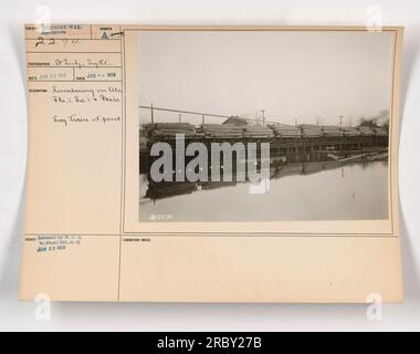 Allenati in uno stagno durante le attività di legname in Alabama, Florida, Louisiana e Mississippi. Questa foto è stata scattata nel gennaio 1918 come parte degli sforzi dell'esercito americano durante la prima guerra mondiale. Mostra l'industria e la manodopera coinvolte nel sostenere lo sforzo bellico attraverso la produzione di legname. Foto Stock