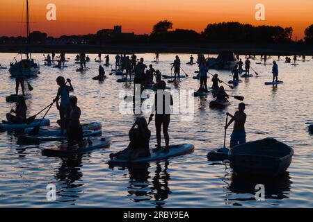 Grande gruppo di stand UP Paddleboarder a Stanpit Creek presso Sunset Christchurch Harbour, Regno Unito Foto Stock