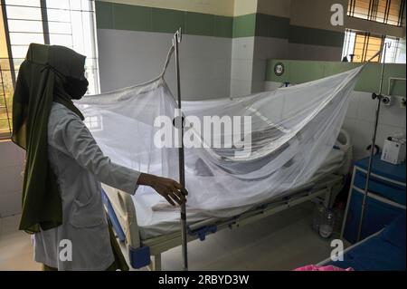 Sylhet, Bangladesh. 11 luglio 2023. Le persone con dengue ricevono il trattamento presso l'angolo Dengue di Sylhet MAG Osmani Medical College Hospital, Bangladesh. Più di 6 pazienti sono ora in trattamento in questo angolo di Dengue. Il numero di pazienti affetti da dengue diagnosticati negli ospedali del Bangladesh sta gradualmente aumentando e il numero di casi e decessi di dengue è aumentato in modo allarmante in tutto il paese nelle ultime tre settimane. L'11 luglio 2023 Sylhet, Bangladesh (foto di Rafayat Haque Khan/ Credit: Eyepix Group/Alamy Live News Foto Stock