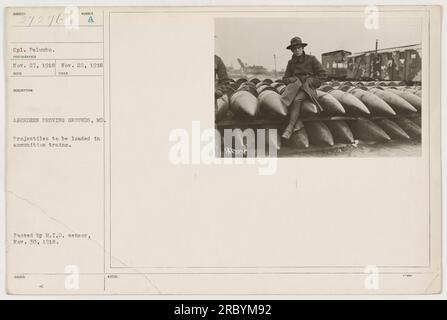 CPL. Palumbo presso Aberdeen Proving Grounds, MD, il 27 novembre 1918. Sta maneggiando dei proiettili da caricare in treni di munizioni. Questa foto è stata scattata il 22 novembre 1918. L'immagine è stata passata dal sensore M.I.D. il 30 novembre 1918. Le note indicano che gli elementi ordinati nell'immagine sono proiettili. Foto Stock