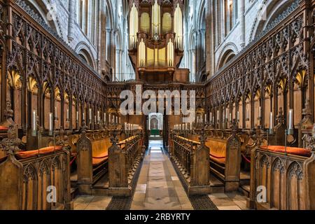 Bancarelle del coro della Cattedrale di Norwich e organo Foto Stock