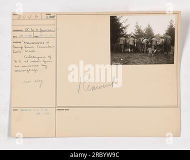 Soldati d'artiglieria americani che partecipano alle manovre a Camp Lewis, American Lake, Washington durante la prima guerra mondiale. La foto fu scattata durante un forte temporale, con i cannoni di artiglieria nascosti da un mimetismo. L'immagine è stata scattata il 27 dicembre 1917 e pubblicata al C.P.I. il 7 gennaio 1918. Fotografo: Es. Ed. N. Jackson. Foto Stock