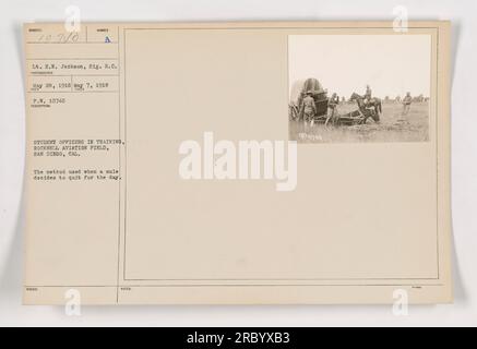 Allievi ufficiali al Rockwell Aviation Field di San Diego, California, che hanno a che fare con un mulo testardo che si rifiutava di lavorare. Fotografato dal tenente B.N. Jackson, Signal Corps. Questa immagine è stata scattata il 28 maggio 1918. Il numero della didascalia è 111-SC-10740. Foto Stock