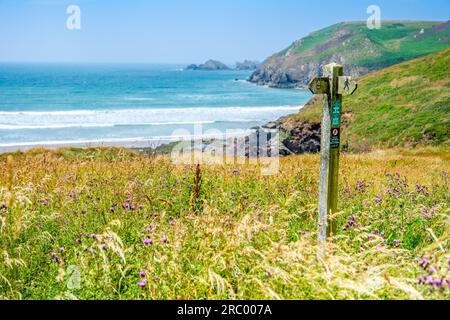 Il Pembrokeshire Coast Path vicino a Newgale nel Galles occidentale, Regno Unito Foto Stock