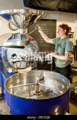 Forsyth Georgia, caffetteria Queen Bee Coffee Company, dipendente che produce birra, artigianale Foto Stock