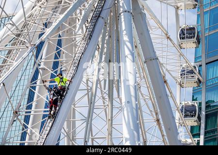 Atlanta, Georgia, SkyView Atlanta, gondole giganti a ruota panoramica, uomini meccanici, ingegneri ispettori che ispezionano prima dell'apertura, prevenzione degli incidenti, pericoloso Foto Stock