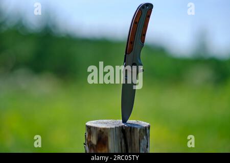 Il coltello pieghevole è bloccato nel ceppo di legno contro la foresta di sfondo.strumento per attività ricreative all'aperto Foto Stock