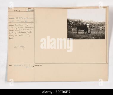 I lavoratori della YMCA a Camp Lewis, American Lake, Washington, portano un'enorme bandiera durante un concorso militare. La foto è stata scattata nel dicembre 1917 da ed. H. Jackson. Questa immagine cattura l'atmosfera patriottica e il ruolo significativo svolto dalla YMCA nel sostenere le truppe americane durante la prima guerra mondiale Foto Stock