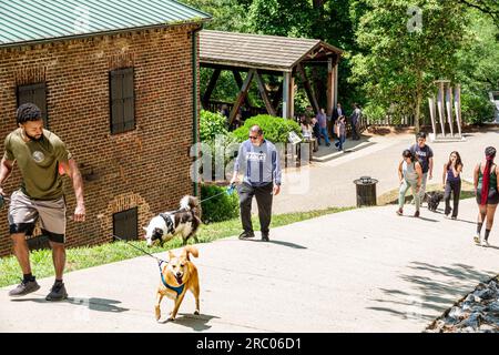 Roswell Atlanta Georgia, Vickery Creek Old Mill Park, storica officina meccanica, ponte coperto, proprietario di cinghiali neri afro-americani Foto Stock