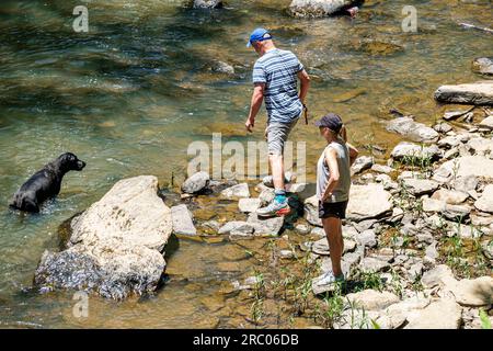 Roswell Atlanta Georgia, Vickery Creek Old Mill Park, coppia di uomini donne cani che nuotano acqua, Chattahoochee River National Recreation area Foto Stock