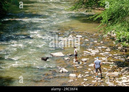 Roswell Atlanta Georgia, Vickery Creek Old Mill Park, coppia di uomini donne cani che nuotano acqua, Chattahoochee River National Recreation area Foto Stock